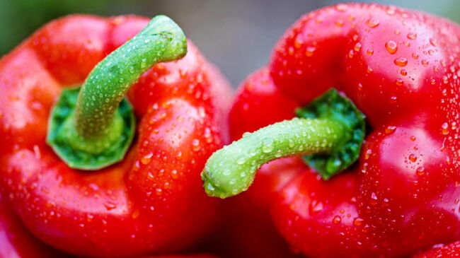 Poivrons Rouges